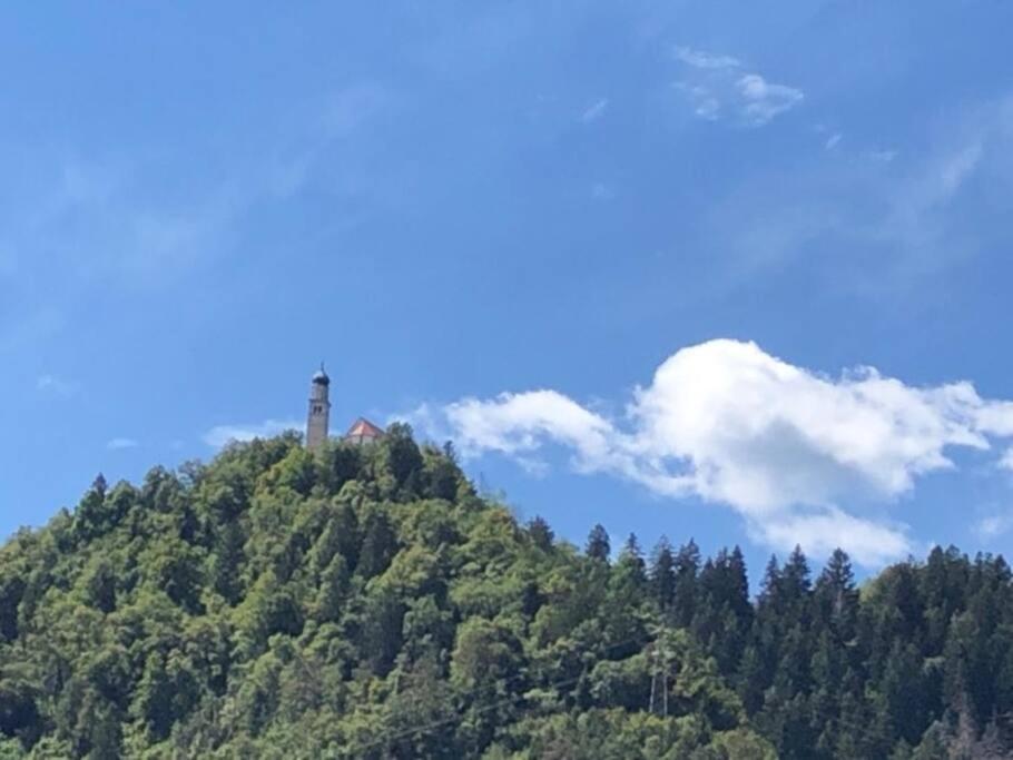 Holiday Guesthouse La Casina Di Butzi Pet Friendly - Terme Di Arta - Zoncolan Arta Terme Exterior photo