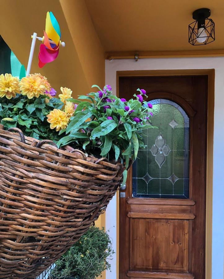 Holiday Guesthouse La Casina Di Butzi Pet Friendly - Terme Di Arta - Zoncolan Arta Terme Exterior photo