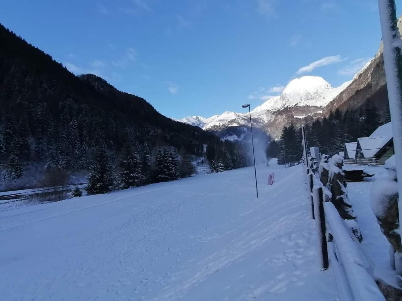 Holiday Guesthouse La Casina Di Butzi Pet Friendly - Terme Di Arta - Zoncolan Arta Terme Exterior photo